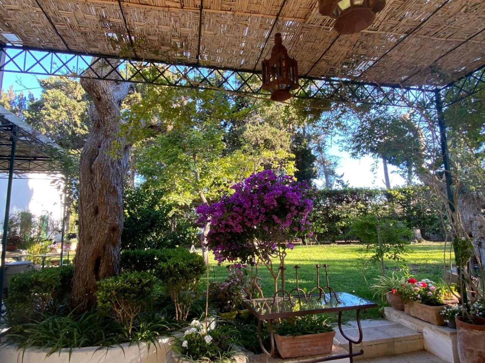 Tenuta Belvedere Отранто Экстерьер фото